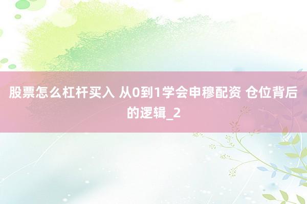 股票怎么杠杆买入 从0到1学会申穆配资 仓位背后的逻辑_2